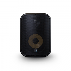Bluesound BSP500 Network Streaming Speaker