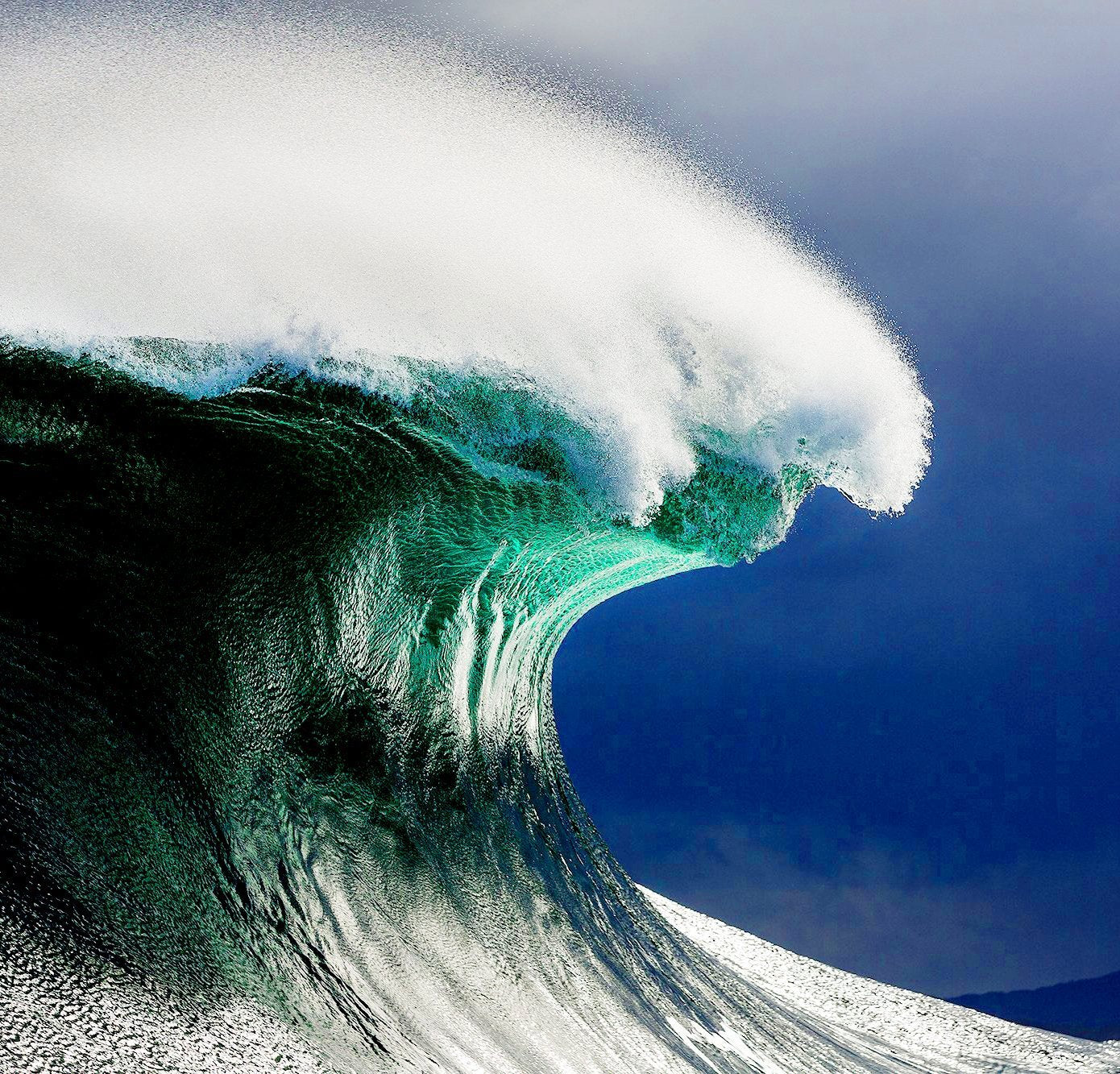 THE WAVE OF 2020