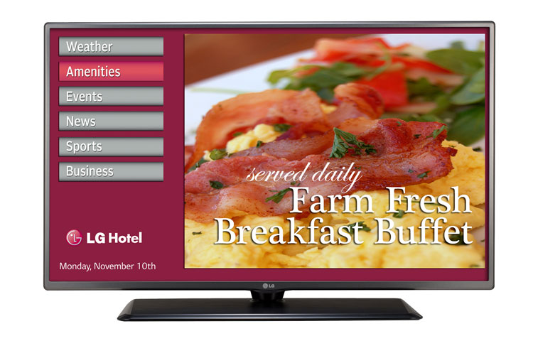 LG 42LY570H 42" Slim Direct-LED Hospitality TV with Pro:Idiom, b-LAN and 2 Year Warranty